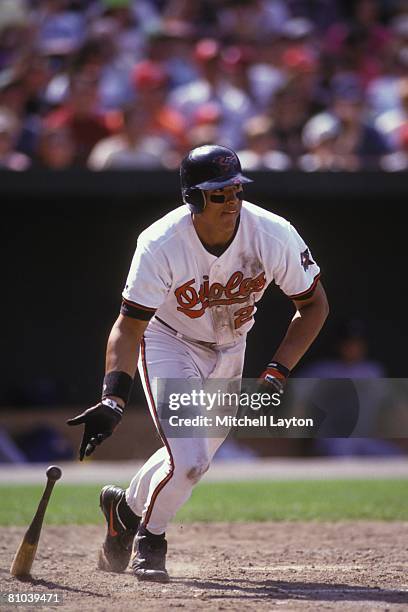 Segui Baseball Baseball David Segui Photos and Premium High Res Pictures - Getty Images