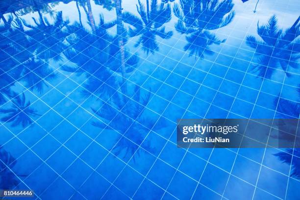 reflection of palm trees over swimming pool - palm leaves pattern stock pictures, royalty-free photos & images