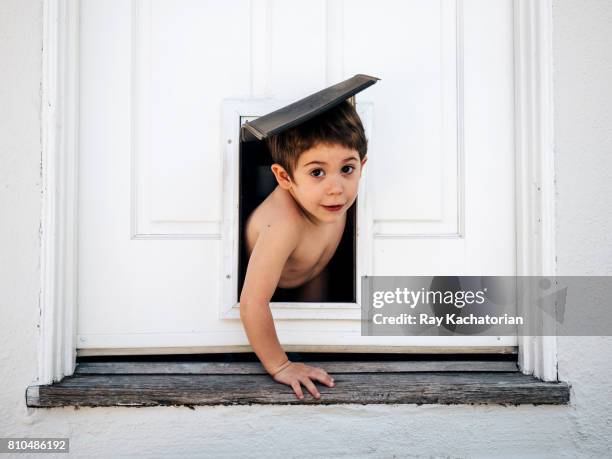 child coming through dog door - trappen photos et images de collection