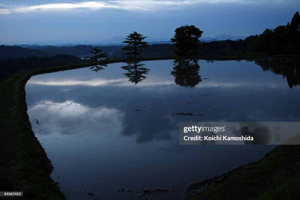 Rice Terraces Prepare For Planting Season