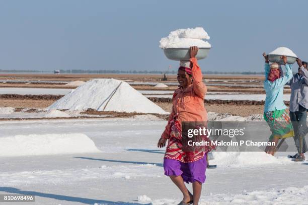 salt workers on the little rann of kutch, salt pans near dhrangaghra, gujarat, india. - rann of kutch stock pictures, royalty-free photos & images