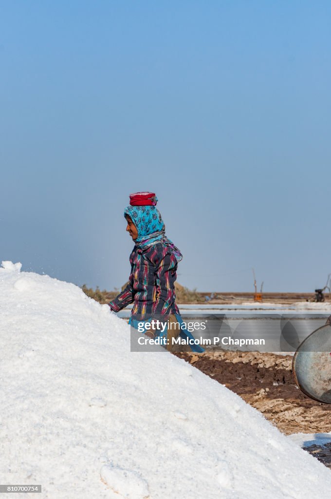 Salt worker, young adult woman, on the Little Rann of Kutch, salt pans near Dhrangaghra, Gujarat, India