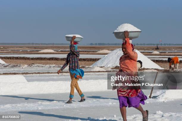 salt workers on the little rann of kutch, salt pans near dhrangaghra, gujarat,india - sales occupation fotografías e imágenes de stock