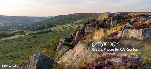 summer evening on baslow edge, peak district, england - baslow stock-fotos und bilder