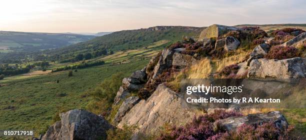 summer evening on baslow edge, peak district, england - baslow stock pictures, royalty-free photos & images