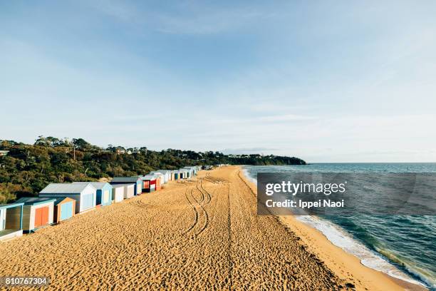 aerial view of a beach with huts, mt. martha beach, mornington peninsula, australia - peninsula mornington - fotografias e filmes do acervo