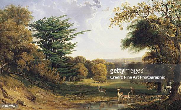 a view of mereworth castle and park, kent, england - landscape painting stock illustrations
