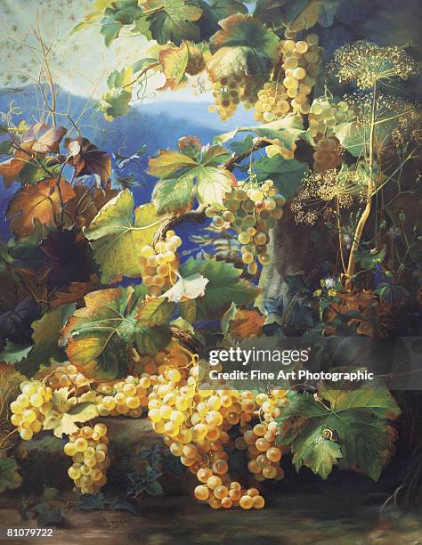 nature morte aux raisins - archival illustration stock illustrations