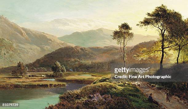 a view of ambleside, lake district, cumbria, england - herbivorous stock illustrations