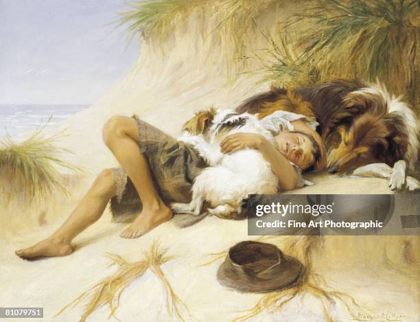 lazy days - dog lying on back stock illustrations