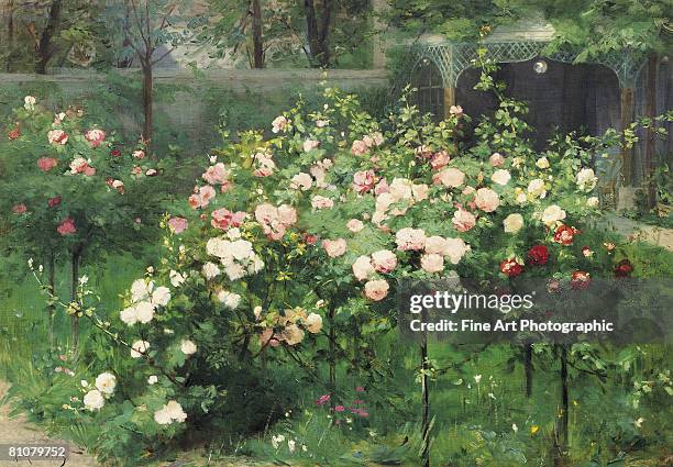 the rose garden - rose garden stock illustrations