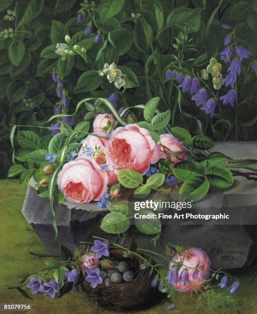 still life with roses and bluebells - bluebell illustration stock illustrations