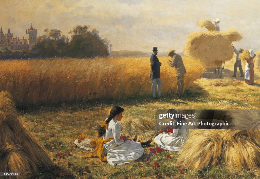 Harvest time on the estate