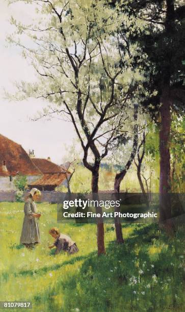 april in the meadows - white flower stock illustrations