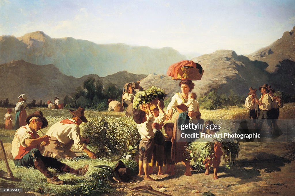 Reeping Reaping The Harvest High-Res Vector Graphic - Getty Images
