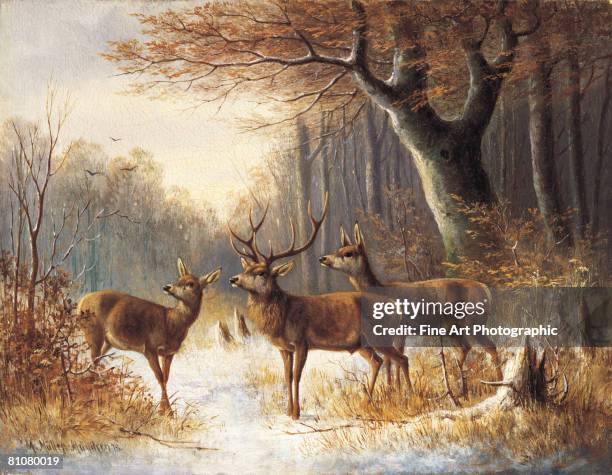 stockillustraties, clipart, cartoons en iconen met winter alert - stag