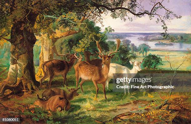 deer in the shade - animal representation stock illustrations