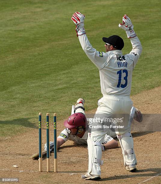 Sussex wicketkeeper Matt Prior celebrates after Somerset batsman Neil Edwards was run out on 99 during day one of the Liverpool and Victoria County...