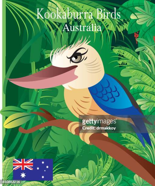 kookaburra birds - uluru rock stock illustrations
