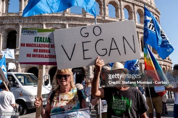 64 Animal Rights Protest Held In Rome Photos and Premium High Res Pictures  - Getty Images