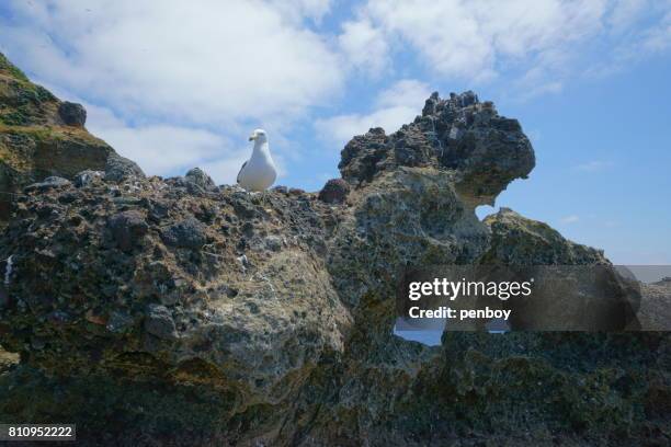 263 Rochers De Liancourt Stock Photos, HighRes Pictures, and Images
