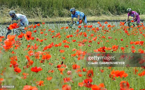 The pack passes by a poppy field during the sixth stage of 91st Giro between Potenza and Peschici on May 15, 2008. Italian Matteo Priamo won the...