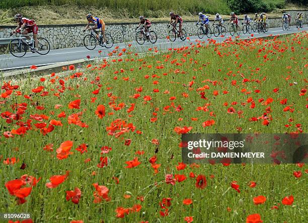 The pack passes by a poppy field during the sixth stage of 91st Giro between Potenza and Peschici on May 15, 2008. Italian Matteo Priamo won the...