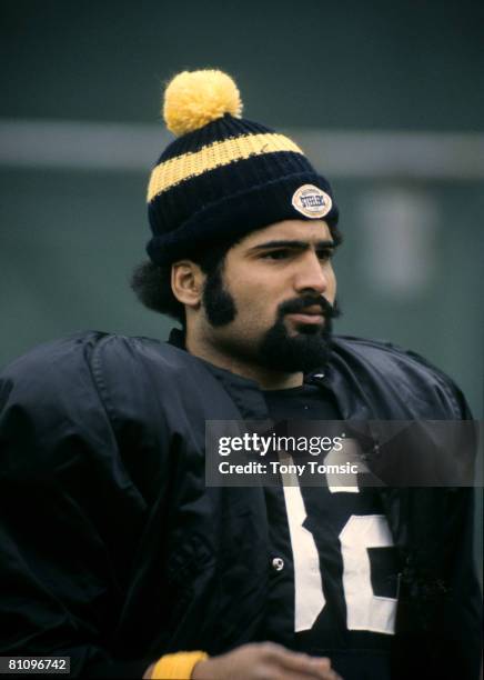 Pittsburgh Steelers Hall of Fame running back Franco Harris during a 23-10 victory over the Minnesota Vikings on November 26 at Three Rivers Stadium...