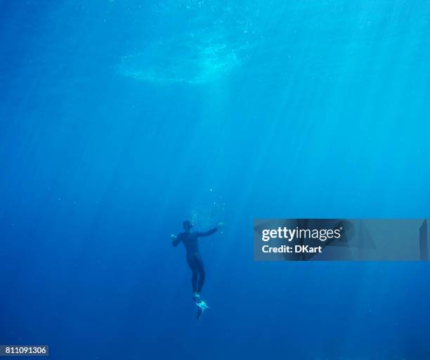 diver - free diving stock pictures, royalty-free photos & images