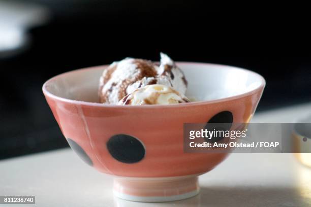 ladybug bowl with ice cream - amy freeze bildbanksfoton och bilder