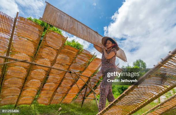 woman going to to dry in the sun girdle cake (banh trang) - women in girdles stock pictures, royalty-free photos & images