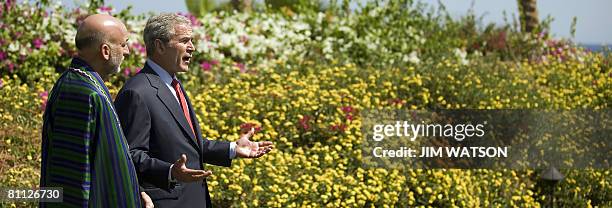 President George W. Bush speaks with his Afghan counterpart Hamid Karzai after a bilateral meeting in the Egyptian Red Sea resort of Sharm El-Sheikh...