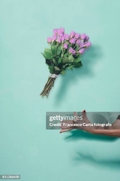 fragility - woman giving flowers stock-fotos und bilder