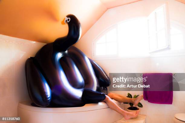 funny picture of guy on bathtub under a huge inflatable black swan. after party guy sleeping in bathtub with legs out during morning hangover. no swimming pool no party. - party under stock pictures, royalty-free photos & images