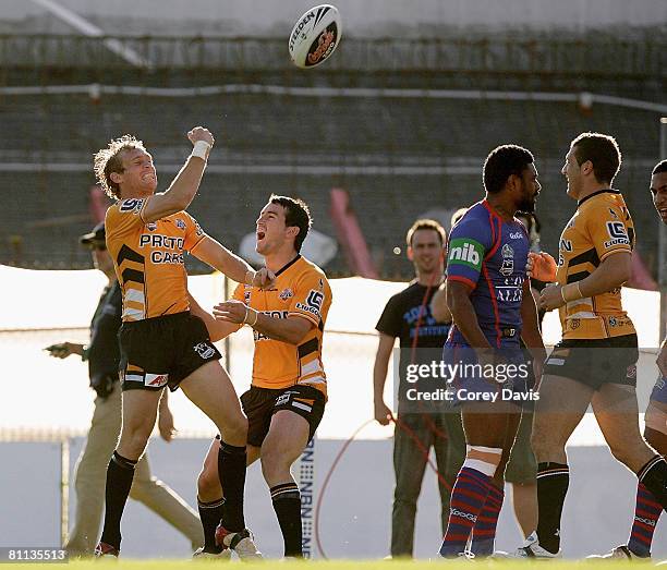 Brett Hodgson of the Tigers celebrates scoring a try during the round 10 NRL match between the Newcastle Knights and the Wests Tigers at...