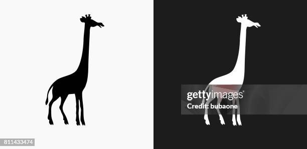 giraffe icon on black and white vector backgrounds - white giraffe stock illustrations