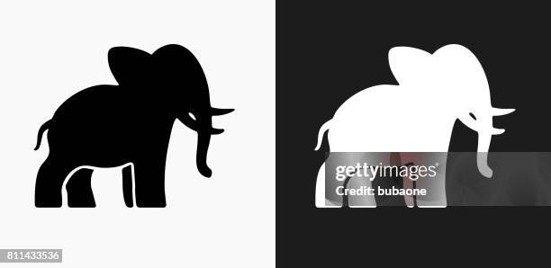 elefant-symbol auf schwarz-weiß-vektor-hintergründe - white elephant stock-grafiken, -clipart, -cartoons und -symbole