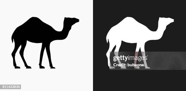 illustrazioni stock, clip art, cartoni animati e icone di tendenza di icona cammello su sfondi vettoriali in bianco e nero - cammello