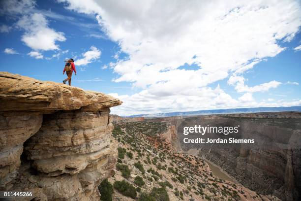 hiking in the big horn canyon - billings stockfoto's en -beelden