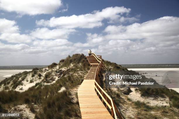 dunes on amrum - amrum stock-fotos und bilder