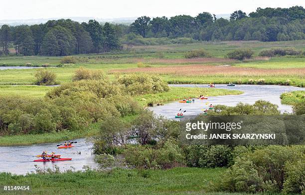 Group of bird watchers canoes in Biebrza National Park on May 16, 2008. The park -- which with a total of 59,233 hectares -- is the country's largest...