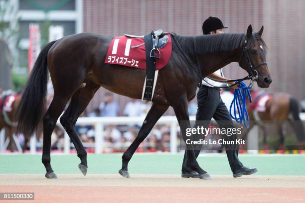 Shet Rouse 29 Shet Stock Photos, High-Res Pictures, and Images - Getty Images