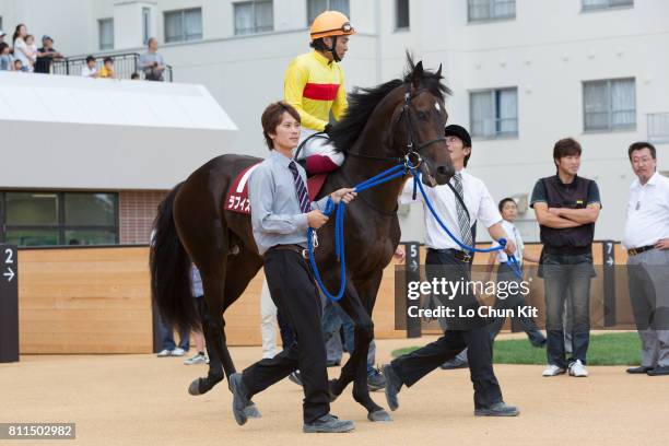 Shet Rouse 29 Shet Stock Photos, High-Res Pictures, and Images - Getty Images