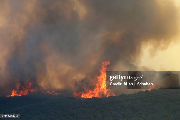 The Whittier Fire burn towards SR-154 in the Los Padres National Forest near Lake Cachuma, Santa Barbara County Sunday, July 9, 2017. At least 200...