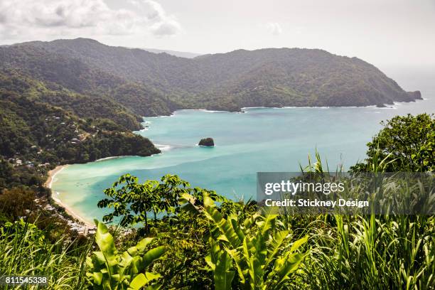 man o' war bay from flagstaff hill in tobago - trinidad and tobago stock pictures, royalty-free photos & images