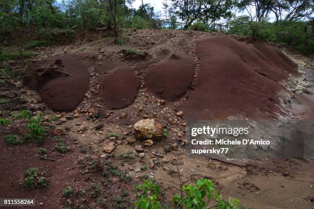 Pyaro Kerio 77 Kerio Valley Stock Photos, High-Res Pictures, and Images - Getty Images