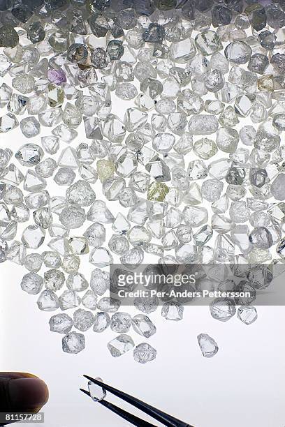 Raw diamonds are displayed on long tables as they are sorted at the new Diamond Trading Company , the world's largest and most advanced...