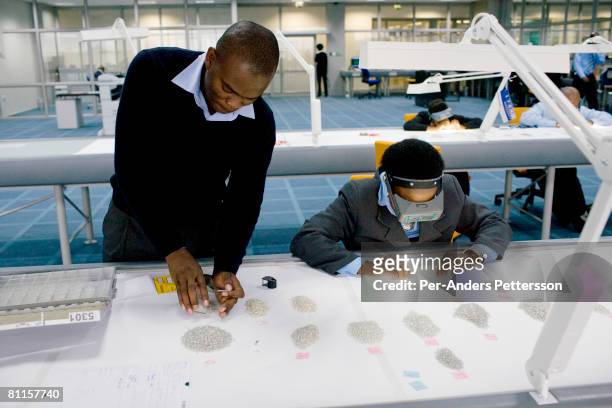 Workers sorts raw diamonds as they are displayed on long tables at the new Diamond Trading Company , the world's largest and most advanced...