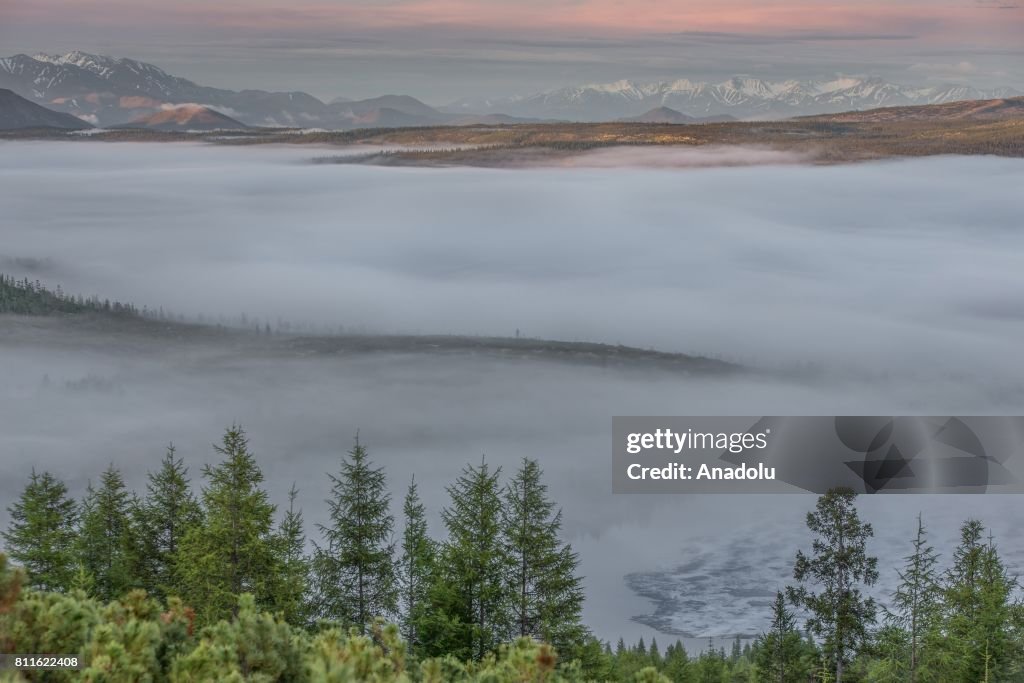 Summer in Siberia