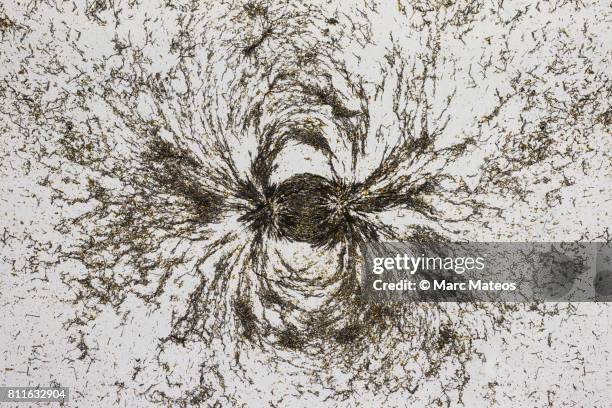 magnetic field - magnetisch veld stockfoto's en -beelden